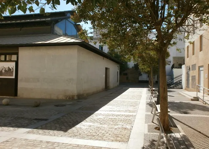 Casa En Plaza De La Merced_centro Flamenco_cadiz